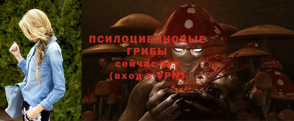 ECSTASY Володарск